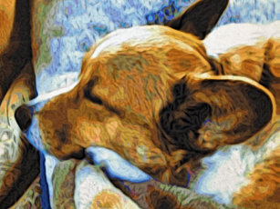 Sleeping Dog Macbook Laptop Sleeves Zazzle You can set the time interval before the laptop goes into sleep mode, or you can prevent the macbook from ever going to sleep by changing the energy saver utility. zazzle