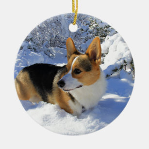Unique and Special Welsh Corgi Gifts for Welsh Corgi Owners Welsh Corgi Picture Frame Holds Your Favorite 2.5 by 3.5 Inch Photo Hand Painted Realistic Looking Welsh Corgi Stands 6 Inches Tall Holding Beautifully Crafted Frame 