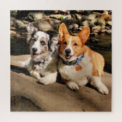 Welsh Corgis Puzzle