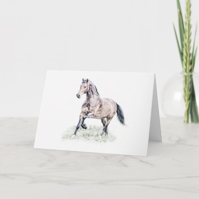 Welsh D Horse Birthday Card (Front)