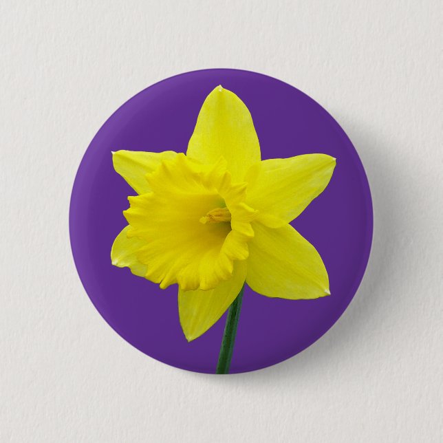 Welsh Daffodil - II Button (Front)