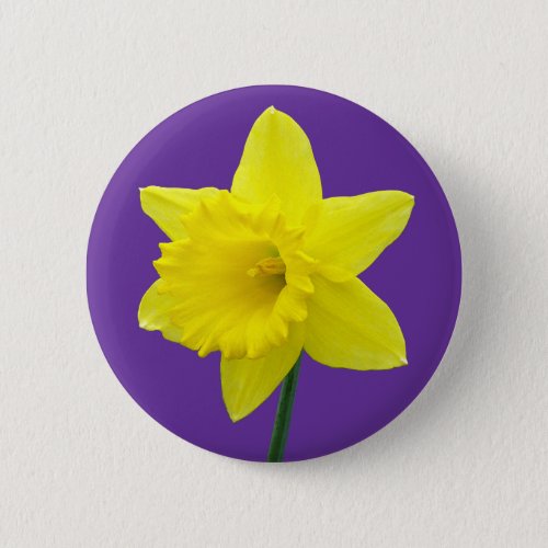 Welsh Daffodil _ II Button