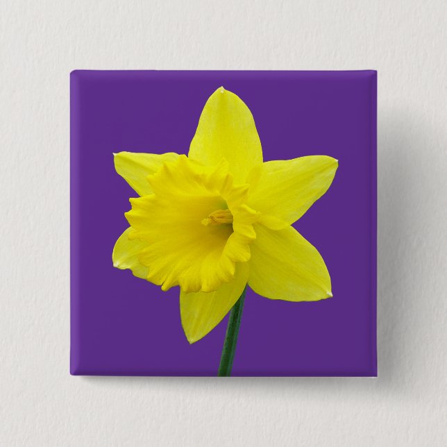 Welsh Daffodil - II - Square Pinback Button (Front)