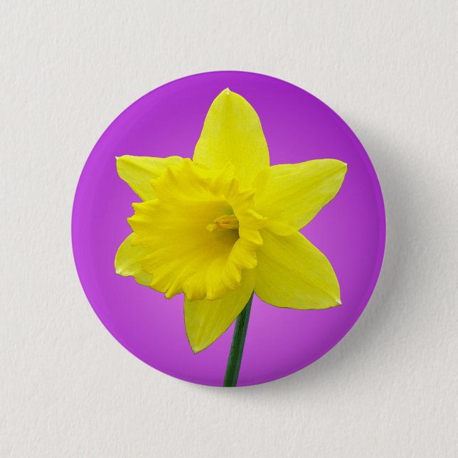 Welsh Daffodil - III - Round Pinback Button (Front)