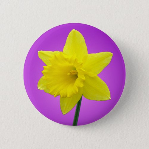 Welsh Daffodil _ III _ Round Pinback Button