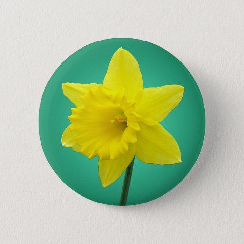 Welsh Daffodil _ IV Button