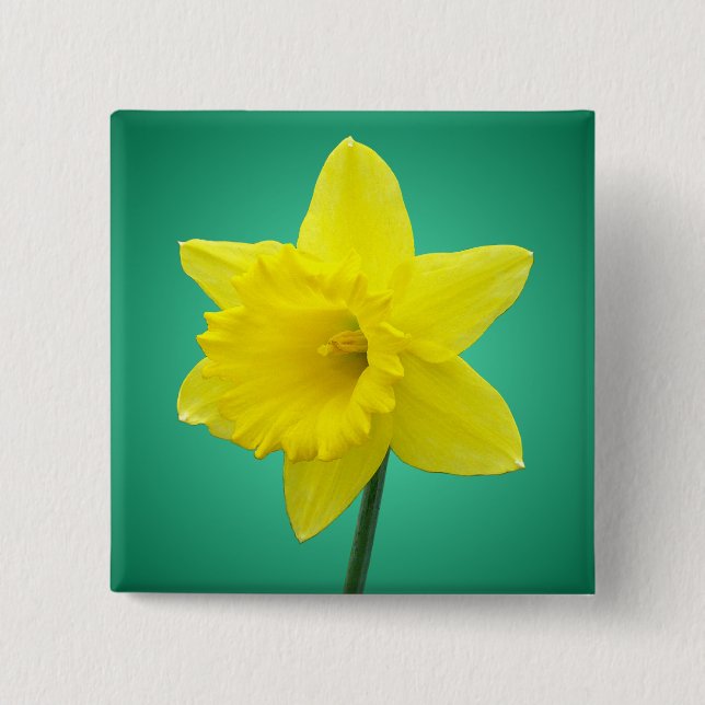 Welsh Daffodil - IV - Square Pinback Button (Front)