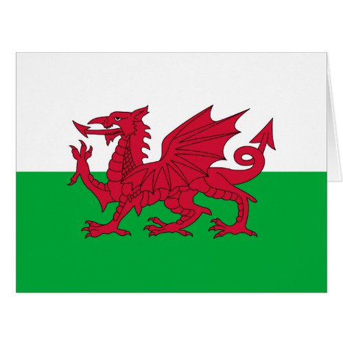 Welsh dragon flag