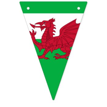 Welsh Dragon ~ Flag Of Wales by SunshineDazzle at Zazzle