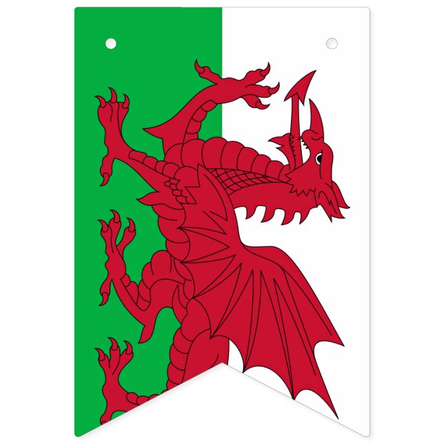 Welsh Dragon ~ Flag of Wales (First Flag)