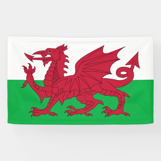 Welsh Dragon ~ Flag of Wales Banner (Horizontal)