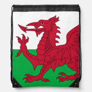 Welsh Dragon ~ Flag of Wales  Drawstring Bag