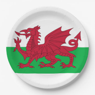 Welsh Dragon ~ Flag of Wales Paper Plates