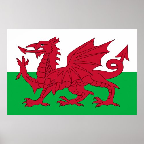 Welsh Dragon  Flag of Wales Poster