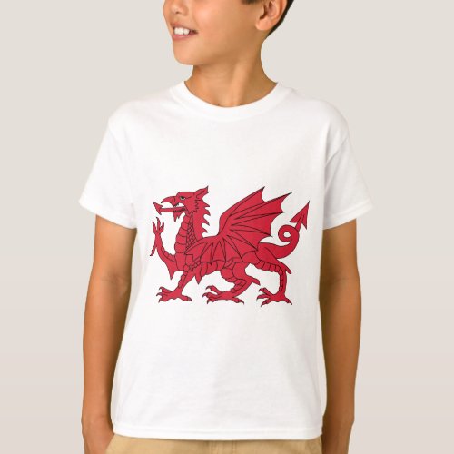 Welsh Dragon T_Shirt