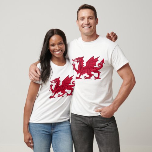 Welsh Dragon T_Shirt