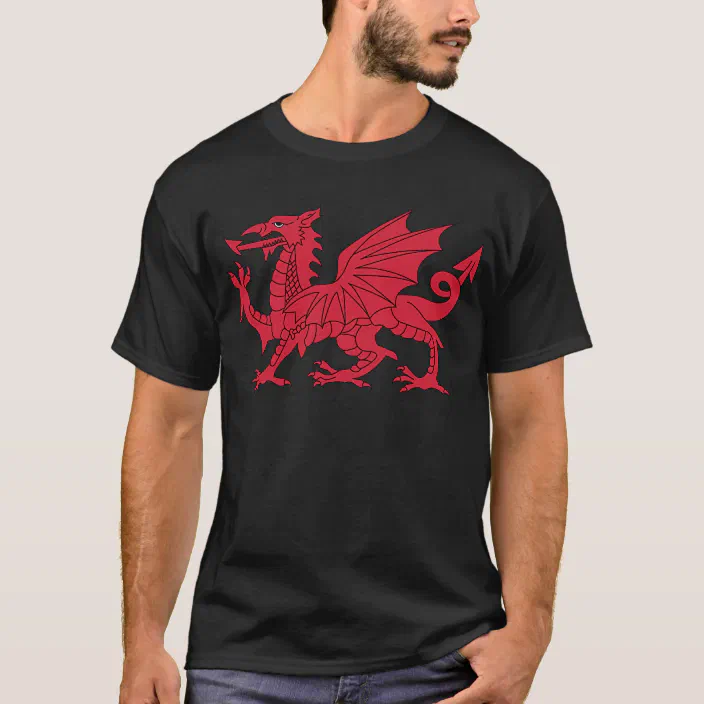 Mens Wales 'CYMRU'  Welsh St Davids Day T-shirt 