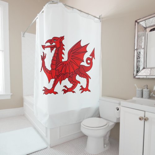 Welsh Dragon With a Bevel Effect Shower Curtain