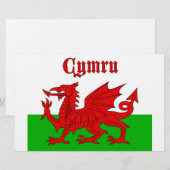 Welsh Flag Cymru (Front/Back)