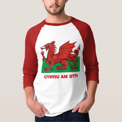 Welsh flag Cymru am byth T_Shirt