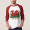 Welsh flag, Cymru am byth