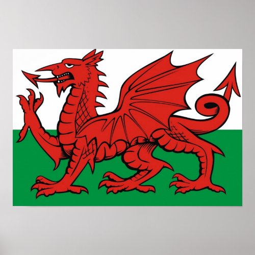 Welsh flag Cymru am byth   The red dragon Poster