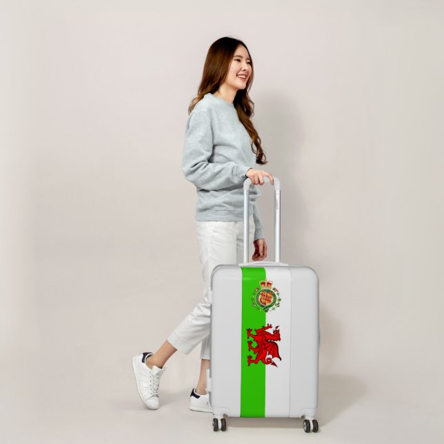Welsh flag luggage (Scale)