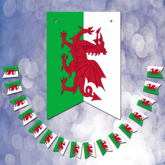 Welsh Flag & Party Wales Banners / Cymru Weddings (Creator Uploaded)