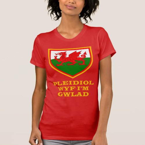 Welsh Flag Pleidiol Wyf Im Gwlad T_Shirt