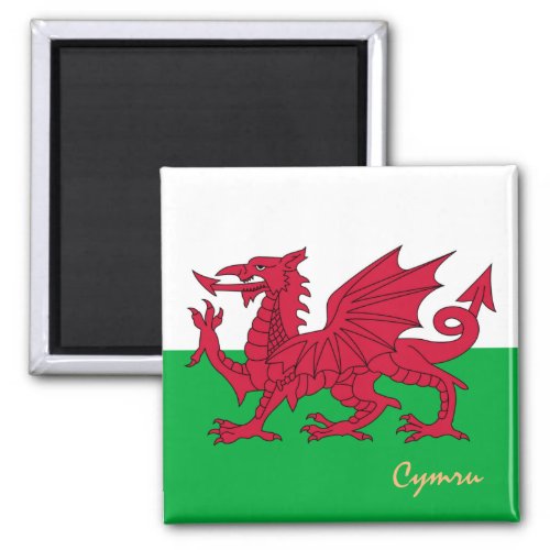 Welsh Flag  Wales travel holiday sports  Cymru Magnet