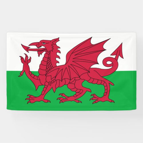 Welsh Flag Wales Welsh Dragon Banner