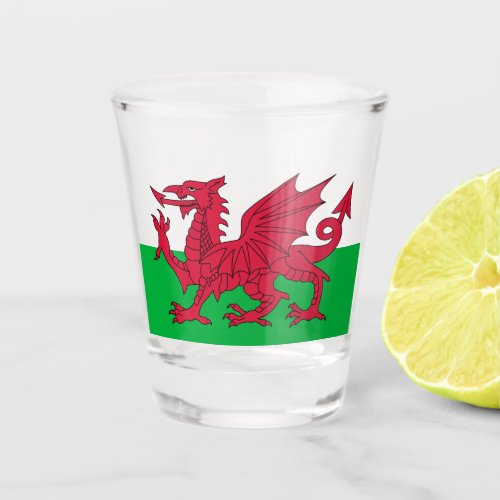 Welsh Flag Wales Welsh Dragon Shot Glass