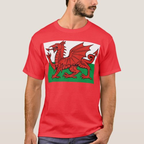 Welsh flag wear it with pride T_Shirt