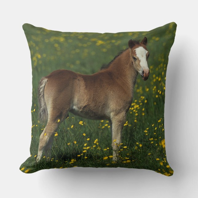 Welsh Foal Throw Pillow (Front)
