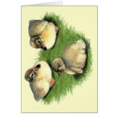 Welsh Harlequin Ducklings (Front)