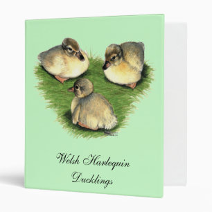 Welsh Harlequin Ducklings 3 Ring Binder