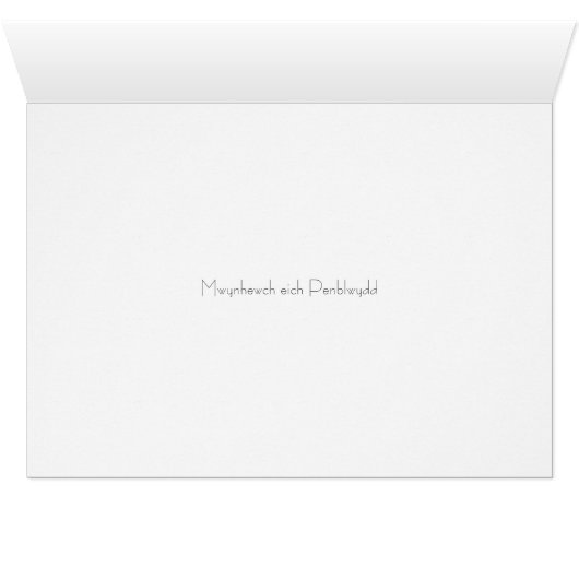 Welsh Language card - Penblwydd Hapus Chwaer (Inside Horizontal (Bottom))