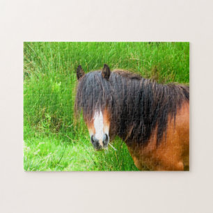 WELSH MOUNTAIN PONY JIGSAW PUZZLE