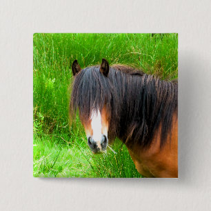 WELSH MOUNTAIN PONY PINBACK BUTTON