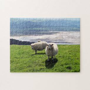 WELSH MOUNTAIN SHEEP JIGSAW PUZZLE