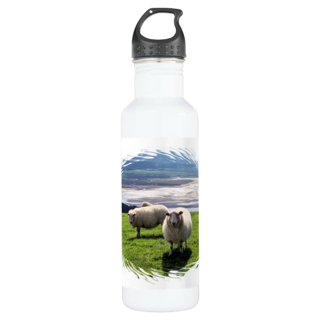 WELSH MOUNTAIN SHEEP WATER BOTTLE (Front)