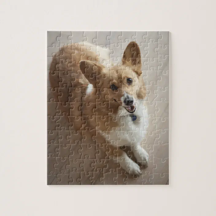 Welsh Pembroke Corgi Dog Lying On Wood Floor Jigsaw Puzzle Zazzle Com