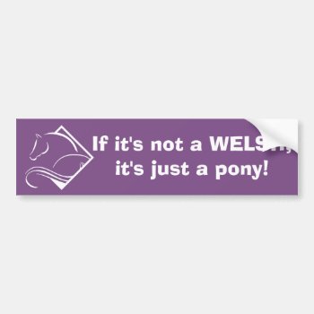 Welsh Pony Bumbersticker Bumper Sticker by WelshPoniesandCobs at Zazzle