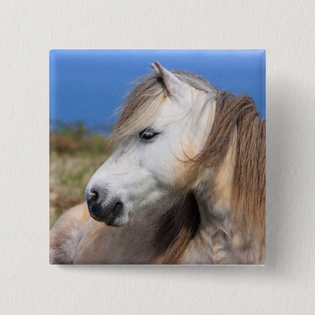 Welsh Pony Button (Front)