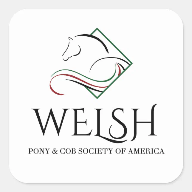 Welsh Pony & Cob Stickers | Zazzle