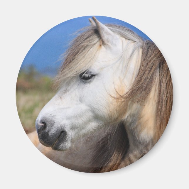 Welsh Pony Magnet (Front)