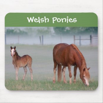 Welsh Pony Mouse Pad by WelshPoniesandCobs at Zazzle
