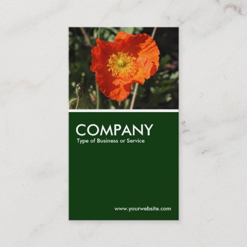 Welsh Poppy _ Dark Green Business Card