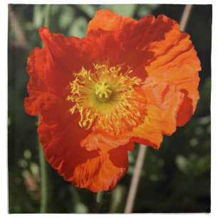 Welsh Poppy (Orange) Napkin