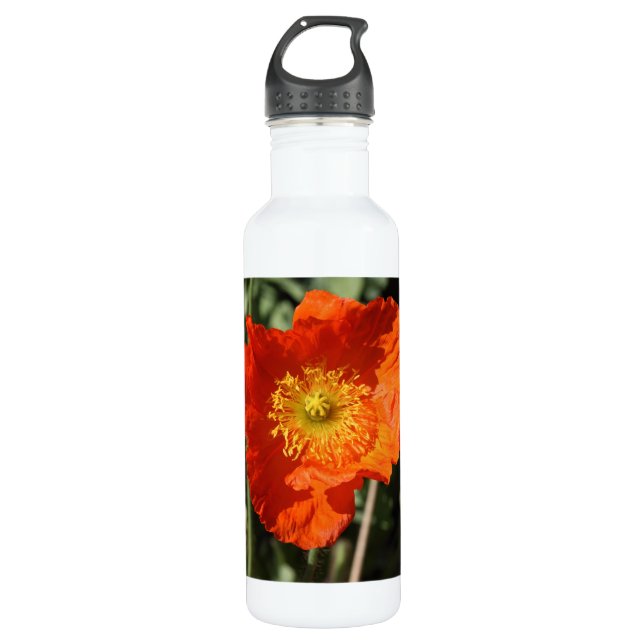 Welsh Poppy (Orange) Stainless Steel Water Bottle (Front)